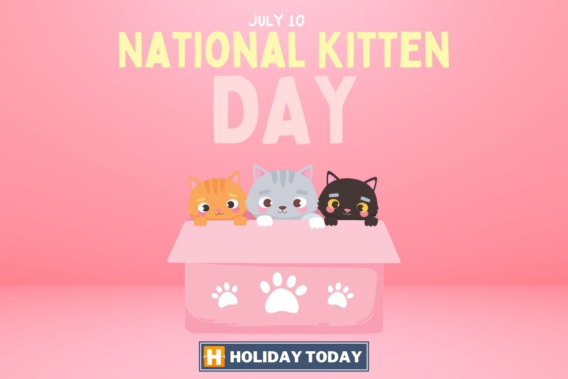 National Kitten Day