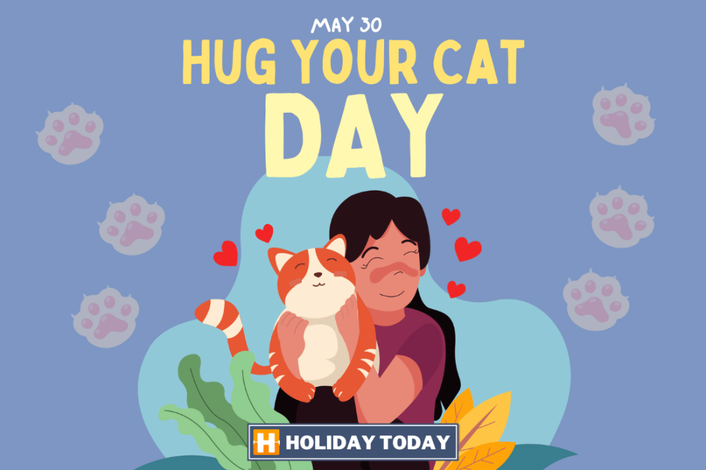 International Hug Your Cat Day