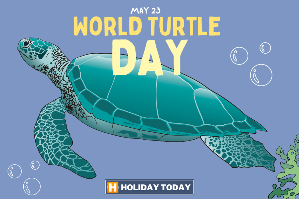 World Turtle Day