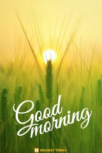 good morning 9 6 3 4