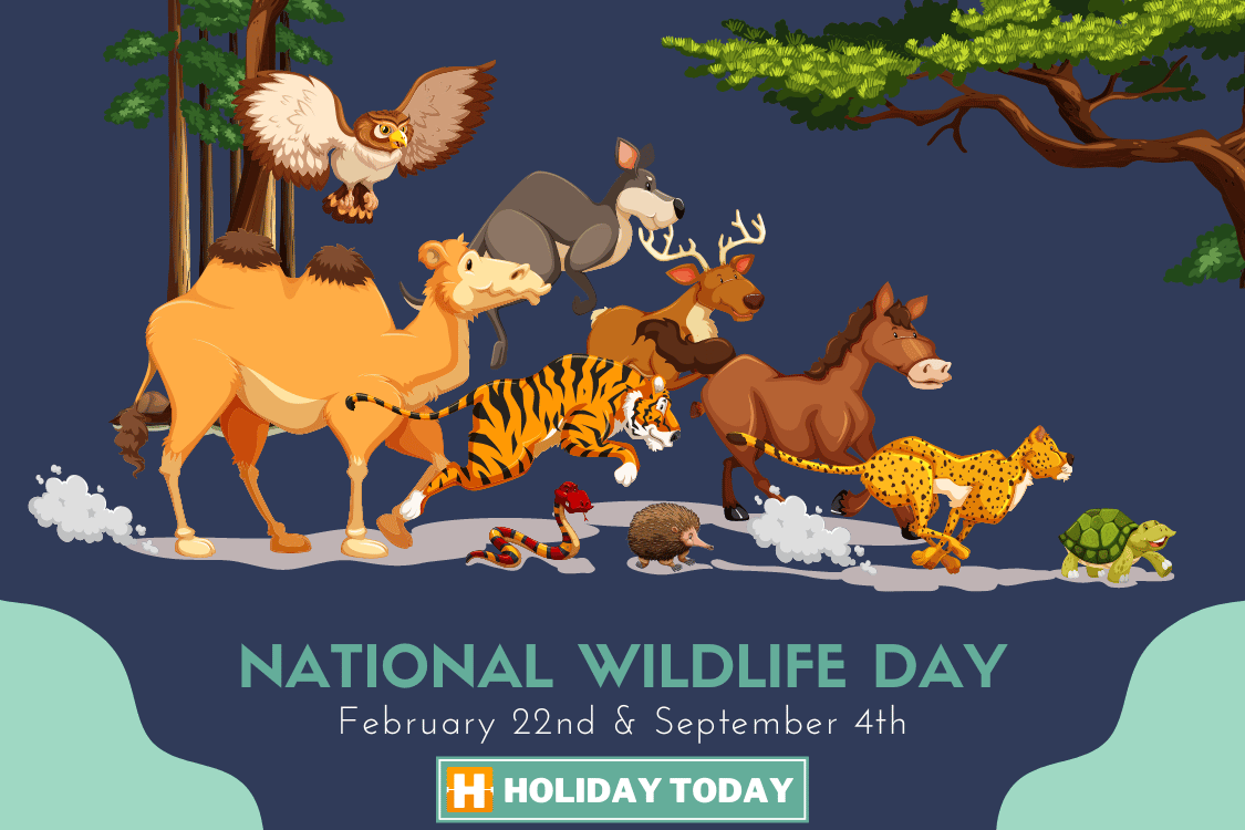 National Wildlife Day