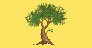 World Olive Tree Day