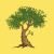 World Olive Tree Day