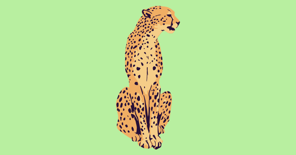 International Cheetah Day
