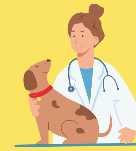 International Day of Veterinary Medicine