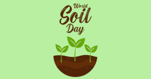 World Soil Day