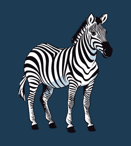 International Zebra Day