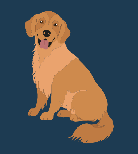 National Golden Retriever Day