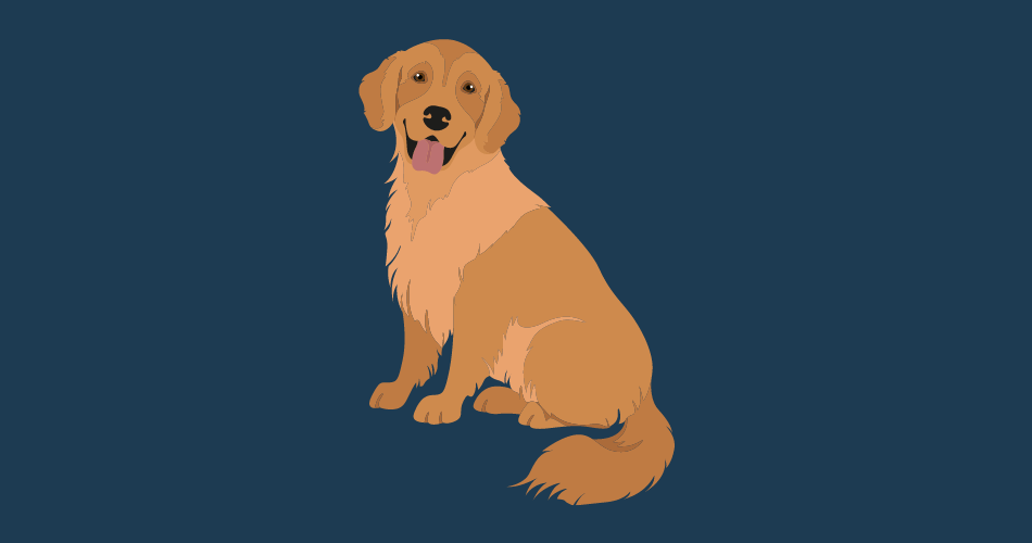 National Golden Retriever Day
