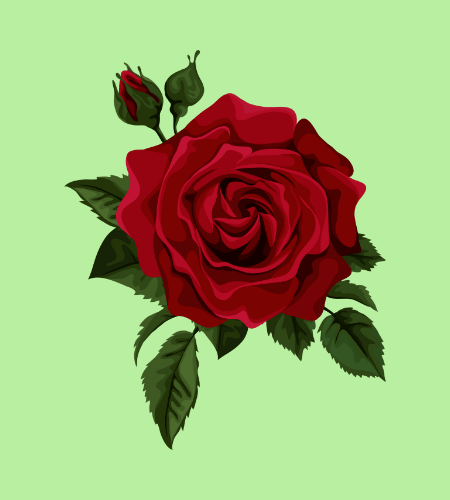 Rose Day