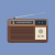 World Radio Day Icon