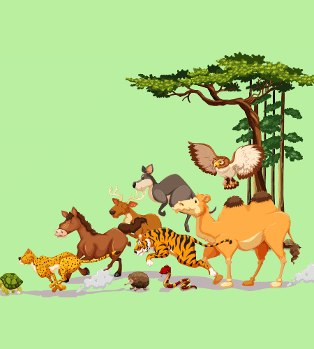 World Wildlife Day