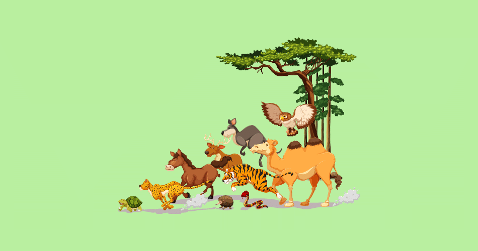 World Wildlife Day