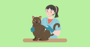 National Take Your Cat to the Vet Day