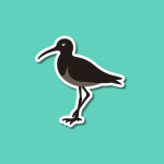 World Curlew Day