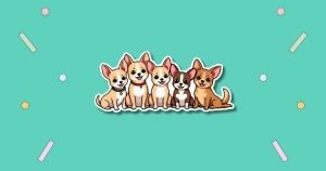 International Chihuahua Appreciation Day