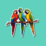 World Parrot Day