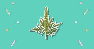 International Ragweed Day
