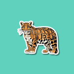 International Clouded Leopard Day