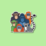 International Primate Day