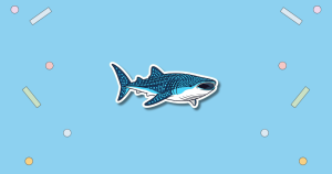 International Whale Shark Day