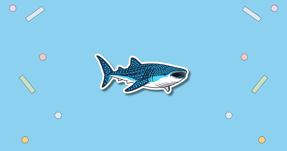 International Whale Shark Day