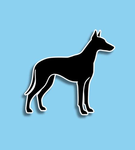 National Black Dog Day