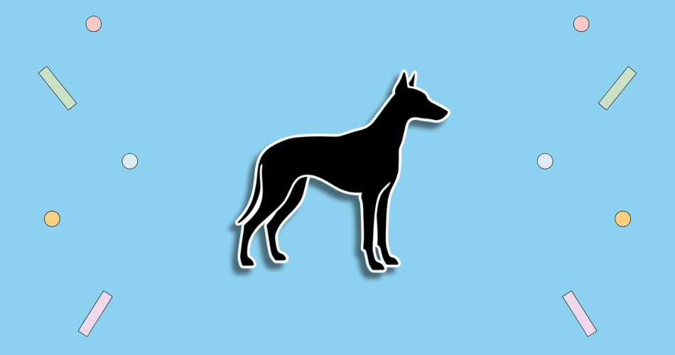 National Black Dog Day