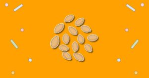 National Pumpkin Seed Day