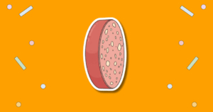 National Bologna Day