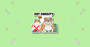 National Pet Obesity Day