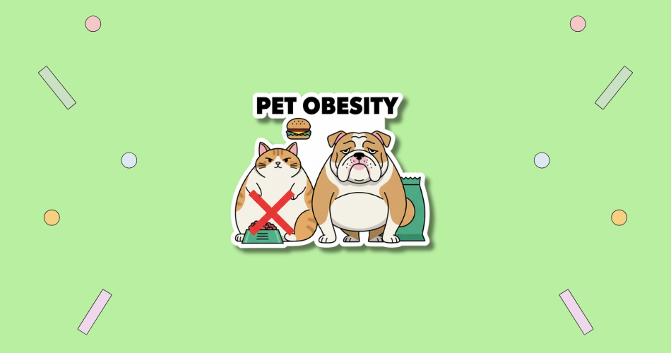 National Pet Obesity Awareness Day