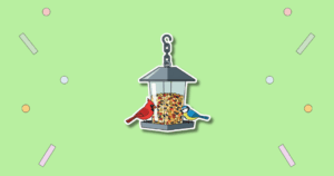 RSPB Feed the Birds Day
