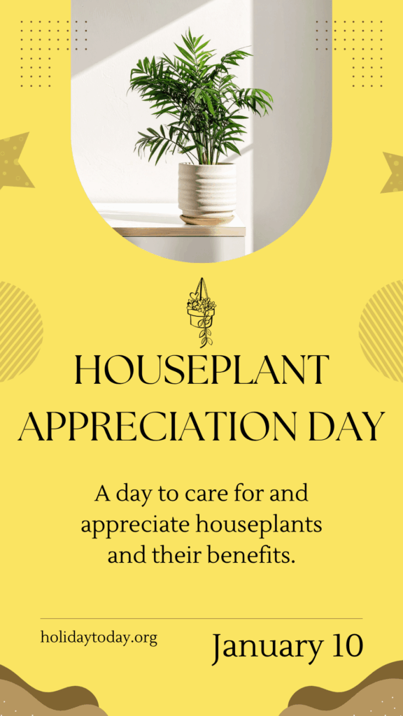 Houseplant Appreciation Day