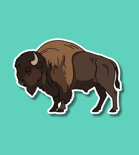 National Bison Day