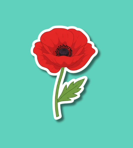 Remembrance Day