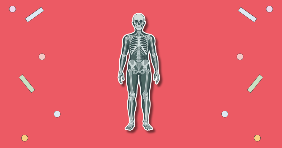 World Radiography Day
