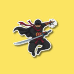 International Ninja Day