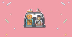 National Pet Travel Safety Day