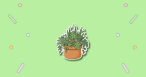 National Houseplant Appreciation Day