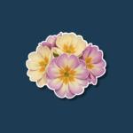 Primrose Day