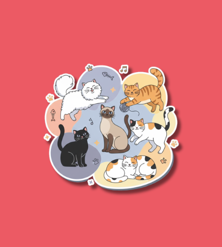 Cat Day