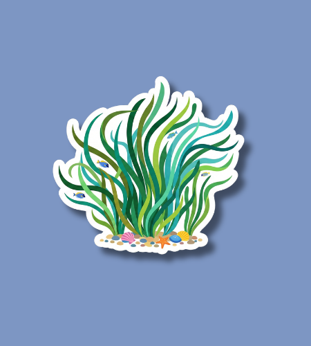 World Seagrass Day