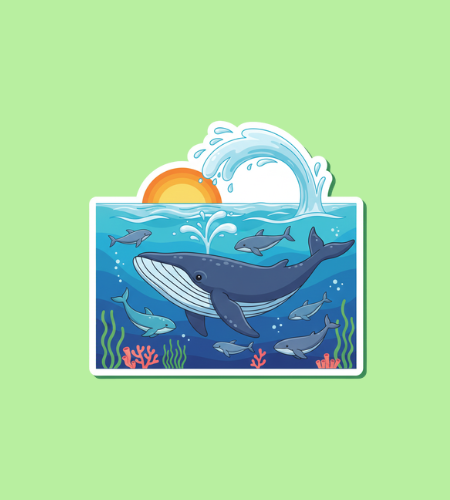 World Whale Day