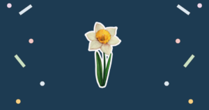 Daffodil Day