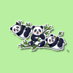 National Panda Day