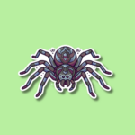 National Save a Spider Day