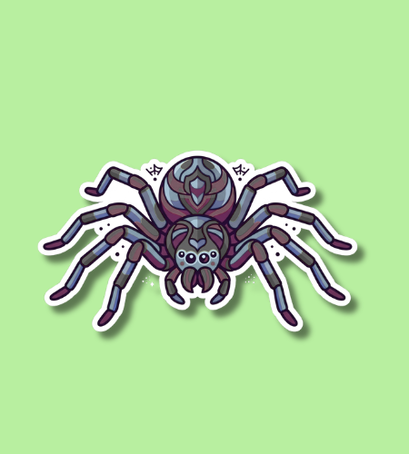 National Save a Spider Day