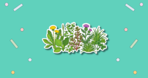 National Weed Appreciation Day