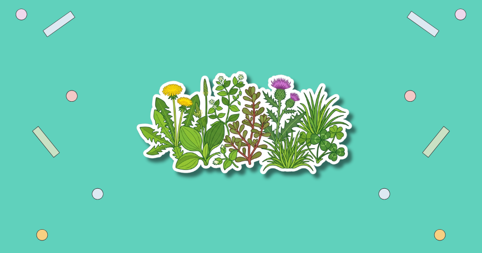 National Weed Appreciation Day